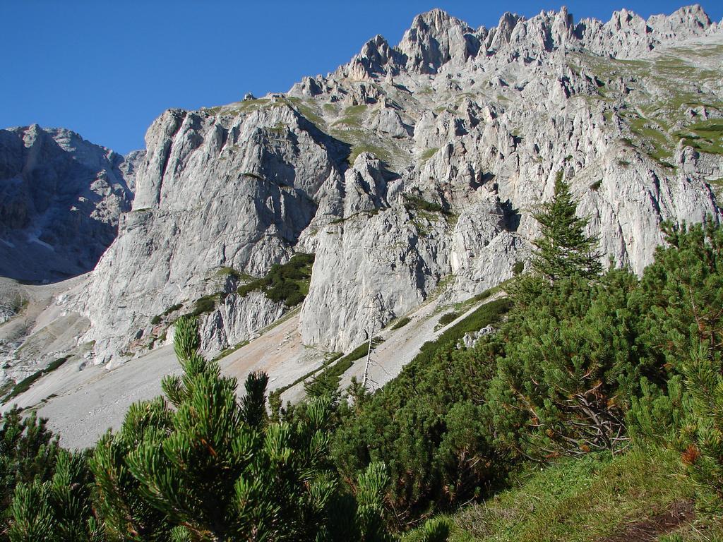 Apartamento Haus Latschenheim Ramsau am Dachstein Exterior foto