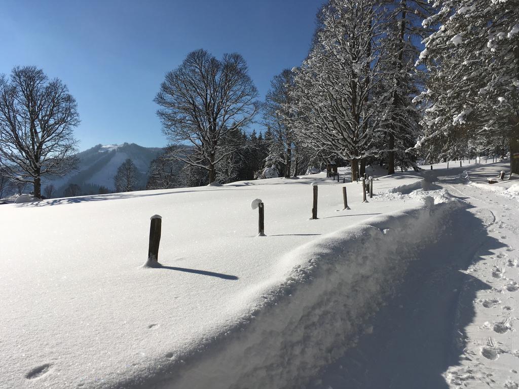 Apartamento Haus Latschenheim Ramsau am Dachstein Exterior foto